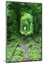 Tunnel of Love-tverkhovinets-Mounted Photographic Print