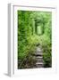 Tunnel of Love-tverkhovinets-Framed Photographic Print