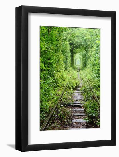 Tunnel of Love-tverkhovinets-Framed Photographic Print