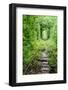 Tunnel of Love-tverkhovinets-Framed Photographic Print