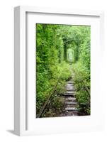 Tunnel of Love-tverkhovinets-Framed Photographic Print