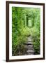 Tunnel of Love-tverkhovinets-Framed Photographic Print