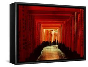 Tunnel of Torii-Arches, Fushimi Inari Shrine, Kyoto, Japan-null-Framed Stretched Canvas