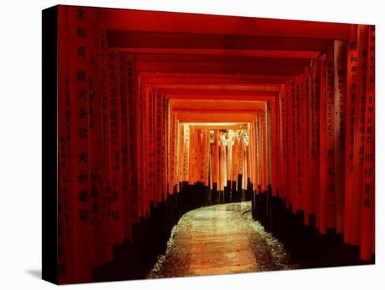 Tunnel of Torii-Arches, Fushimi Inari Shrine, Kyoto, Japan-null-Stretched Canvas