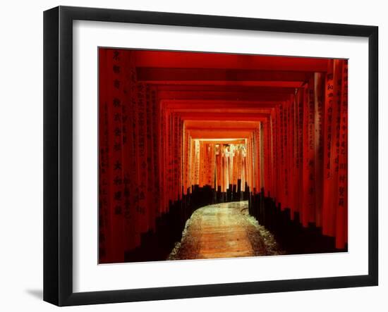 Tunnel of Torii-Arches, Fushimi Inari Shrine, Kyoto, Japan-null-Framed Photographic Print