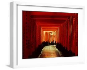 Tunnel of Torii-Arches, Fushimi Inari Shrine, Kyoto, Japan-null-Framed Photographic Print