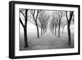 Tunnel of Trees-Monte Nagler-Framed Giclee Print