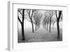 Tunnel of Trees-Monte Nagler-Framed Giclee Print