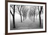 Tunnel of Trees-Monte Nagler-Framed Giclee Print