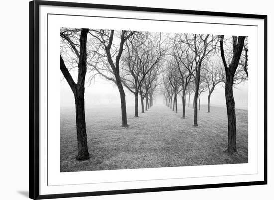 Tunnel of Trees-Monte Nagler-Framed Giclee Print