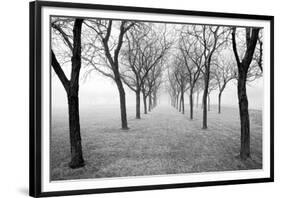 Tunnel of Trees-Monte Nagler-Framed Giclee Print