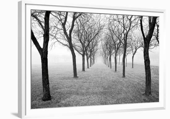 Tunnel of Trees-Monte Nagler-Framed Giclee Print