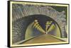 Tunnel on Columbia River Highway, Oregon-null-Framed Stretched Canvas