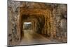 Tunnel on Iron Mountain Road Lit by Setting Sun, Mount Rushmore, South Dakota-Chuck Haney-Mounted Photographic Print