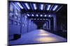 Tunnel on the High Line in New York City-SeanPavonePhoto-Mounted Photographic Print