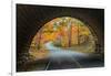 Tunnel Through Autumn, Bar Harbor, Maine, Acadia National Park-Vincent James-Framed Photographic Print