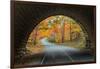 Tunnel Through Autumn, Bar Harbor, Maine, Acadia National Park-Vincent James-Framed Photographic Print