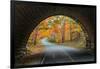 Tunnel Through Autumn, Bar Harbor, Maine, Acadia National Park-Vincent James-Framed Photographic Print