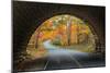 Tunnel Through Autumn, Bar Harbor, Maine, Acadia National Park-Vincent James-Mounted Photographic Print