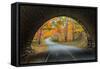 Tunnel Through Autumn, Bar Harbor, Maine, Acadia National Park-Vincent James-Framed Stretched Canvas