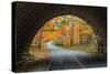 Tunnel Through Autumn, Bar Harbor, Maine, Acadia National Park-Vincent James-Stretched Canvas