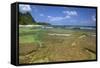 Tunnels Beach, Kauai, Hawaii, USA-Jaynes Gallery-Framed Stretched Canvas