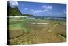 Tunnels Beach, Kauai, Hawaii, USA-Jaynes Gallery-Stretched Canvas