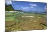 Tunnels Beach, Kauai, Hawaii, USA-Jaynes Gallery-Mounted Photographic Print