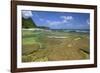 Tunnels Beach, Kauai, Hawaii, USA-Jaynes Gallery-Framed Photographic Print