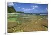 Tunnels Beach, Kauai, Hawaii, USA-Jaynes Gallery-Framed Photographic Print