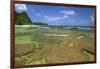 Tunnels Beach, Kauai, Hawaii, USA-Jaynes Gallery-Framed Photographic Print