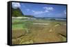 Tunnels Beach, Kauai, Hawaii, USA-Jaynes Gallery-Framed Stretched Canvas