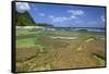 Tunnels Beach, Kauai, Hawaii, USA-Jaynes Gallery-Framed Stretched Canvas