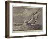 Tunny Fishing in the Bay of Biscay-null-Framed Giclee Print