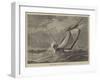 Tunny Fishing in the Bay of Biscay-null-Framed Giclee Print