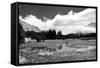 Tuolomne Meadows Monochrome-Marc Gutierrez-Framed Stretched Canvas