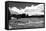 Tuolomne Meadows Monochrome-Marc Gutierrez-Framed Stretched Canvas