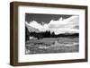 Tuolomne Meadows Monochrome-Marc Gutierrez-Framed Photographic Print