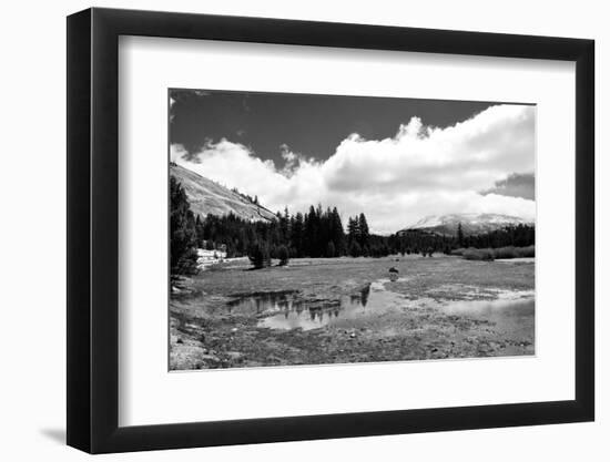Tuolomne Meadows Monochrome-Marc Gutierrez-Framed Photographic Print