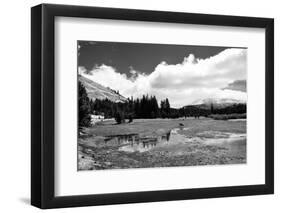 Tuolomne Meadows Monochrome-Marc Gutierrez-Framed Photographic Print