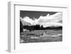 Tuolomne Meadows Monochrome-Marc Gutierrez-Framed Photographic Print