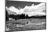 Tuolomne Meadows Monochrome-Marc Gutierrez-Mounted Photographic Print