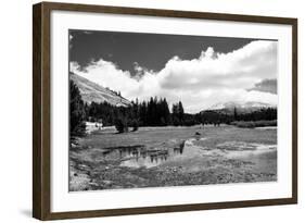 Tuolomne Meadows Monochrome-Marc Gutierrez-Framed Photographic Print