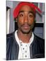 Tupac Shakur-null-Mounted Premium Photographic Print