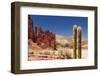 Tupiza - the Most Beautifull Countryside in Bolivia-rchphoto-Framed Photographic Print