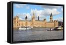 Framed Canvas