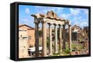Framed Canvas