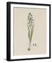 Turauoise Ixia-Robert Jacob Gordon-Framed Giclee Print