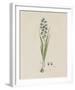 Turauoise Ixia-Robert Jacob Gordon-Framed Giclee Print