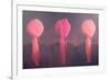 Turban Triptych-Lincoln Seligman-Framed Giclee Print